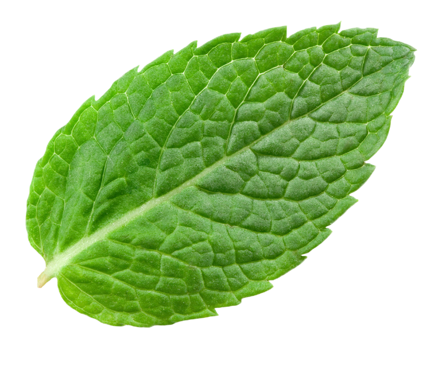 v.png